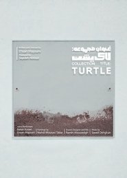 Collection Title: Turtle Poster