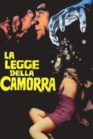 La legge della camorra