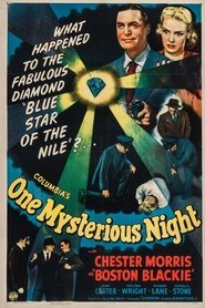 One Mysterious Night
