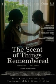 The Scent of Things Remembered (2025)