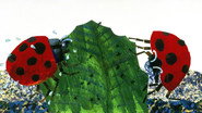 The World of Eric Carle