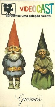 Pôster de Gnomes