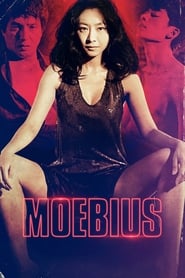 Poster Moebius 2013