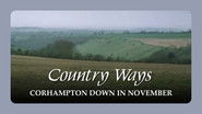 Corhampton Down in November