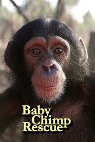 Baby Chimp Rescue постер