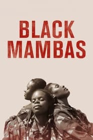 Black Mambas (2022) Cliver HD - Legal - ver Online & Descargar