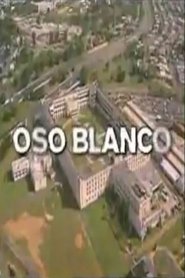 Poster Oso Blanco 1999