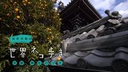 Kyoto Lucky Shrine
