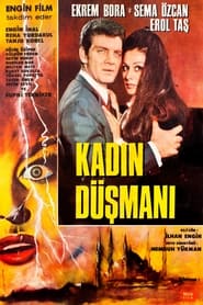 Poster Kadın Düşmanı