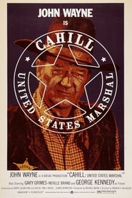 Cahill U.S. Marshal ネタバレ