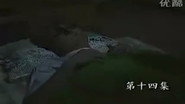 Episode 134