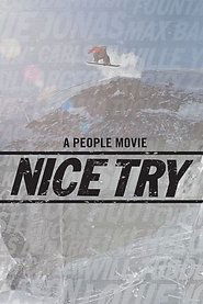 Poster Nice Try 2009