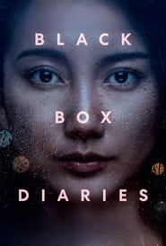 Poster Black Box Diaries