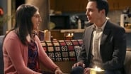 The Big Bang Theory - Episode 9x11