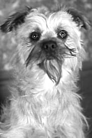 Photo de Laughing Gravy Laughing Gravy - the Dog (uncredited) 