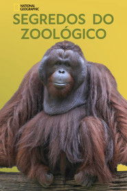 Os Segredos do Zoológico — Temporada 3