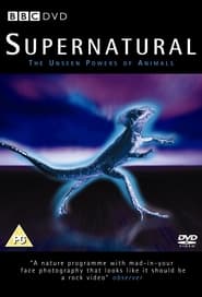 Poster Supernatural: Unseen Power of Animals 1999