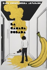 Poster La cámara robada 2005