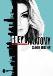 Grey’s Anatomy: Temporada 13