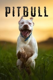 Poster Pitbull