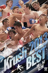 Krush 2013 BEST