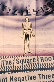 Poster The Square Root of Negative Three 1991
