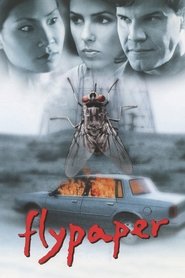Poster Flypaper 1999