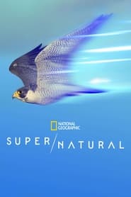 Super/Natural постер