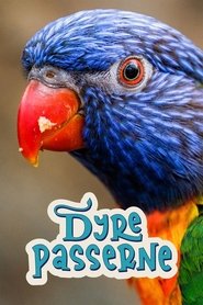 Poster for Season 14