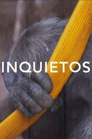 Inquietos poster