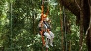 Judi Dench's Wild Borneo Adventure en streaming