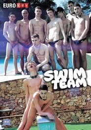 Poster Swim Team 2013