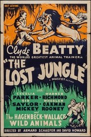 The Lost Jungle постер