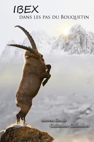 Ibex; In the Footsteps of the Ibex