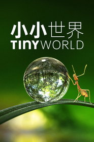 Tiny World 第 1 季 海报