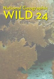 Poster Wild 24 - Season 1 2016