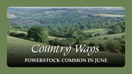 Powerstock Common in June