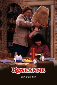 Roseanne Season 6 5