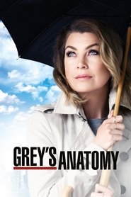 Imagen Anatomía de Grey