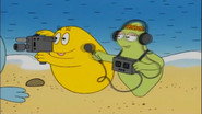 Les baleines
