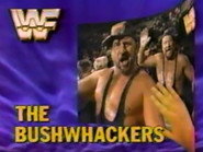 June 30, 1990 - Superstars of Wrestling 200