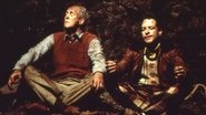 Dick and Harry Fall in a Hole