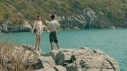 The Stranded 1x4