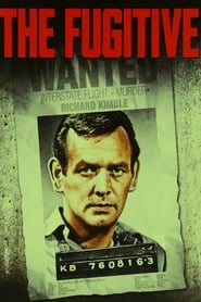 The Fugitive Season 2 Episode 18