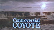 Controversial Coyote