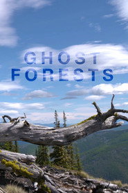 Ghost Forests poster