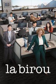 La birou (2024) La birou (2024)