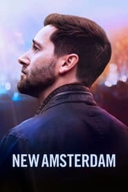 Новий Амстердам постер