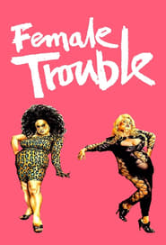 Female Trouble постер