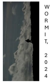 WORMIT, 2024
